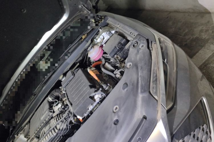 Used BYD Qin PLUS 2023 Champion Edition DM-i 55KM Leading Model
