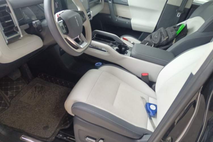 Used  03 2024 501km Four-wheel Drive Long-range Intelligent Driving Edition
