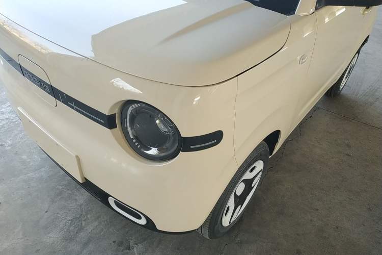 Used  Panda 2025 210 km – Yuanqi Bear
