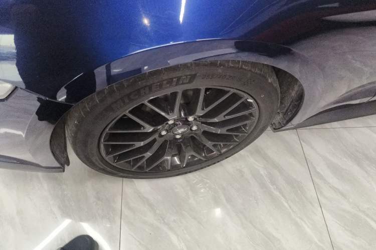 Used Ford Mustang 2019 5.0L V8 GT
