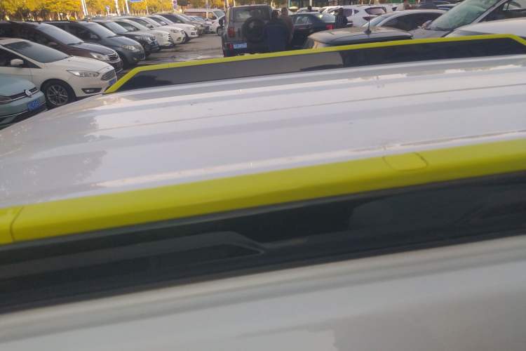 Used  Panda 2024 200km Panda Rider