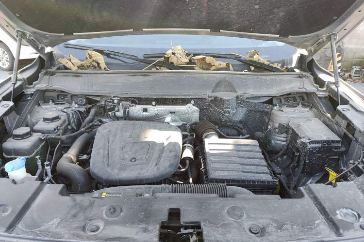 Used Haval  2024 Hi4 102km Trend Electric Version Plus