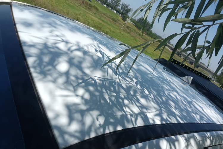 Used Great Wall Poer 2021 2.0T Commercial Version Automatic Diesel 4x4 Elite Long-Box GW4D20M
