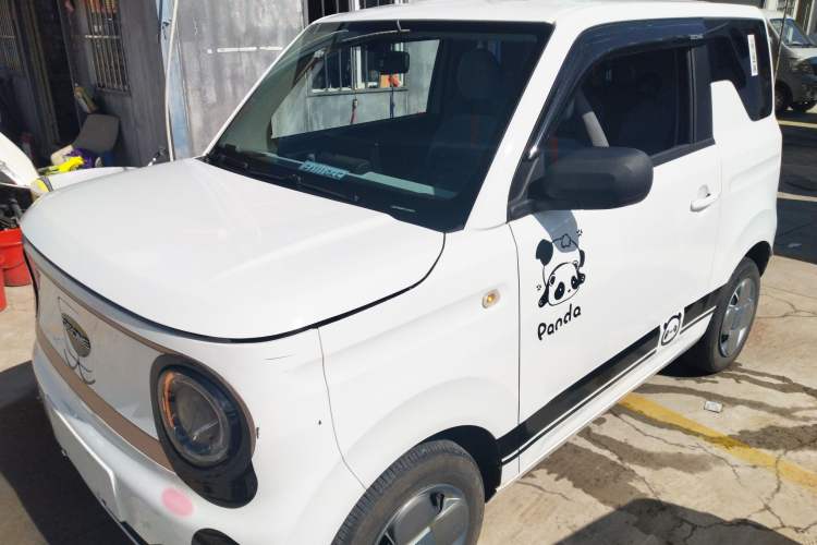 Used  Panda 2023 Panda Mini 200km Endurance Bear
