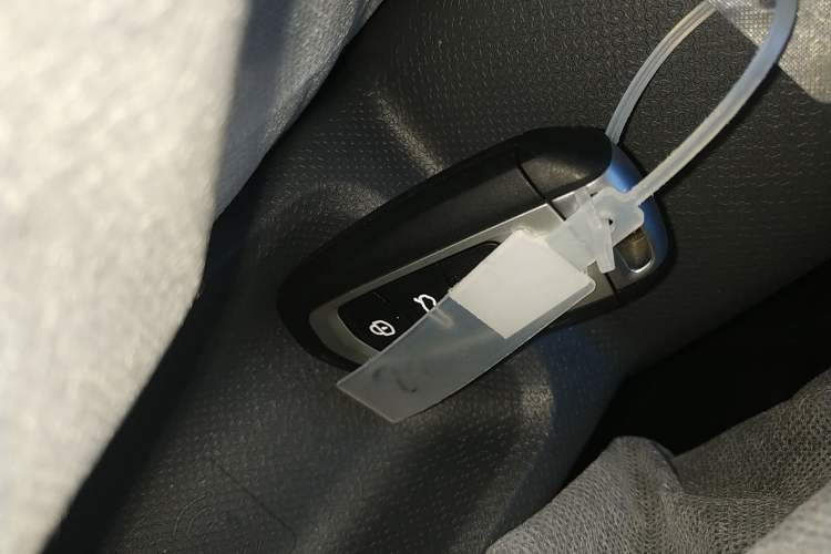 Used  Panda 2025 210 km – Yuanqi Bear
