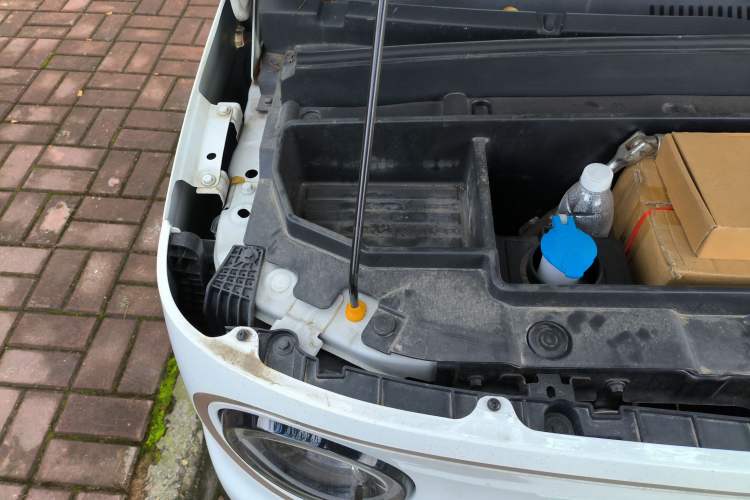 Used  Panda 2023 Panda Mini 200km Endurance Bear
