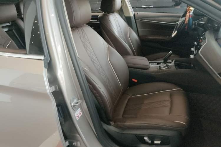 Used BMW 5 Series New Energy 2020 530Le Luxury Package
