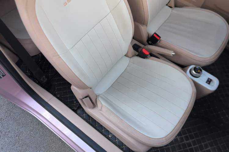 Used  Panda 2023 Panda Mini 200km Endurance Bear
