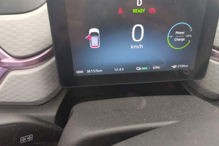 Used SOL E10X 2022 Flower Fairy Design Four-Leaf Clover
