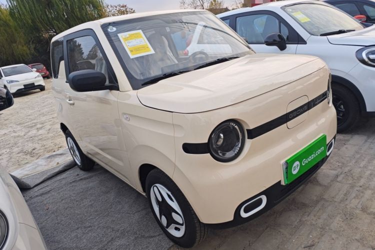 Used  Panda 2025 210 km – Yuanqi Bear
