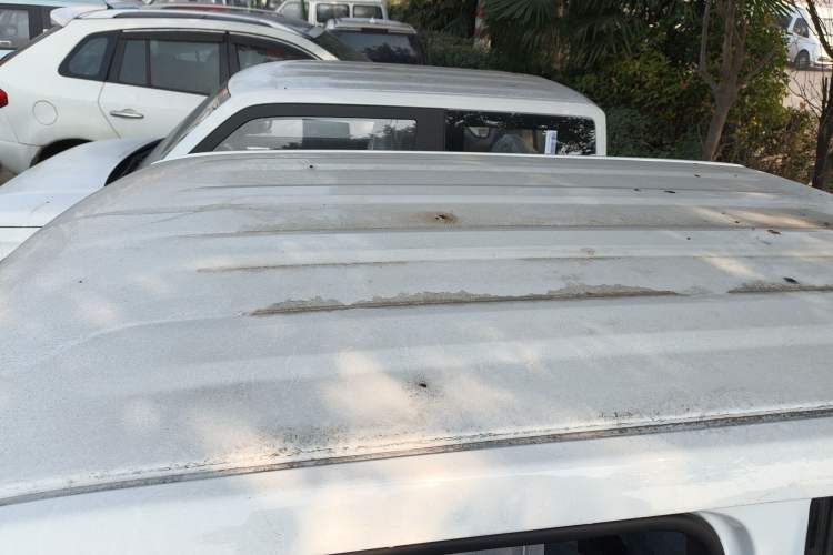 Used  Panda 2024 Panda Mini 200km Endurance Bear
