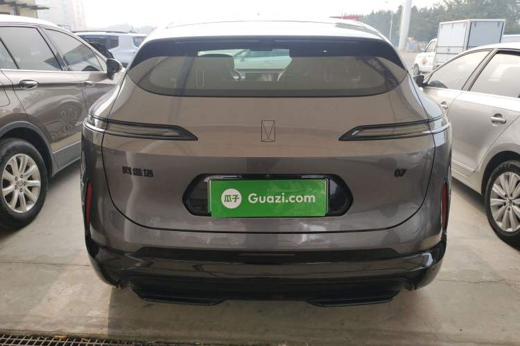 Used  07 2024 Max Extended-Range Edition
