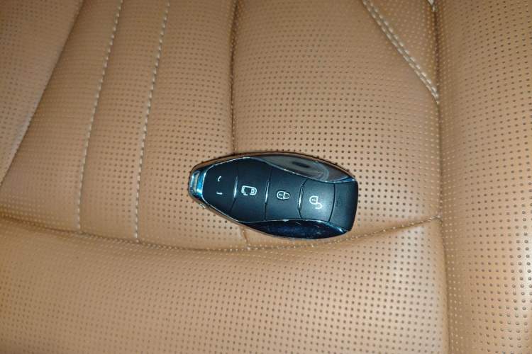 Used Hongqi HQ9 2023 2.0T Smart Connect Flagship Edition