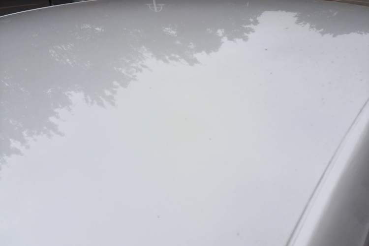 Used Wuling Xingguang 2023 150 Advanced Edition
