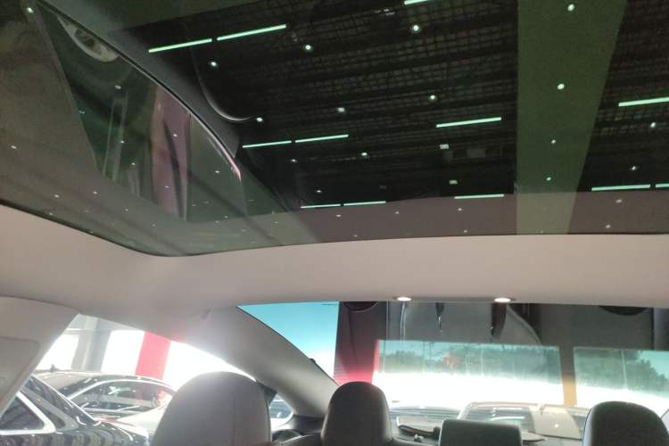 Used Tesla Model 3 2021 Performance High-Performance All-Wheel-Drive Version 3D6
