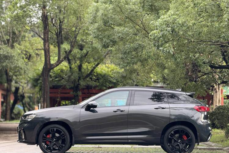 Used Wey VV7 2020 2.0T Flagship Edition
