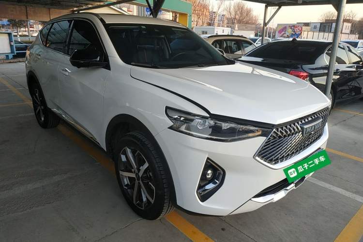 Used Haval F7 2021 1.5T Two-Wheel Drive i-Type
