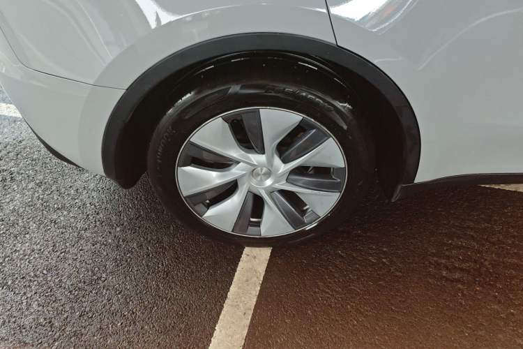 Used Tesla Model Y 2021 Standard Range Rear-Wheel Drive Version