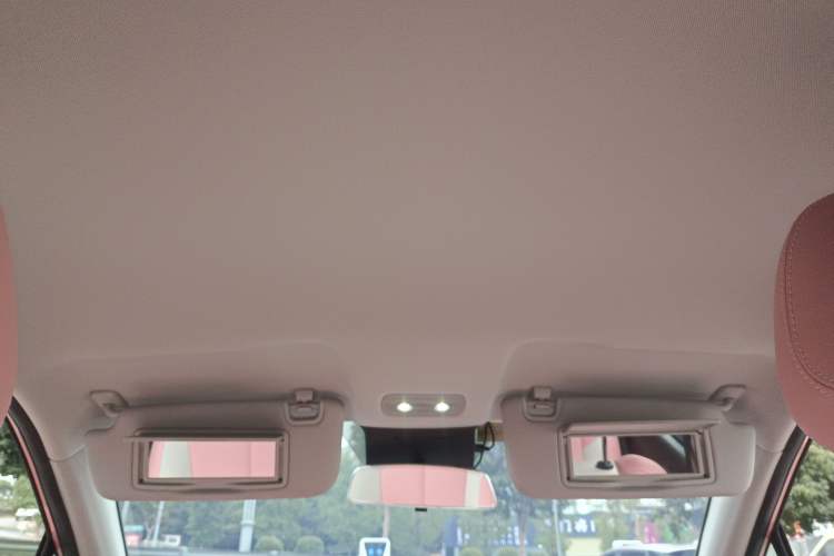 Used NETA V 2021 Witch Edition
