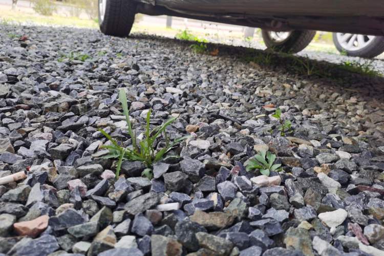 Used Nissan Livina 2015 1.6XE Manual Comfort Edition
