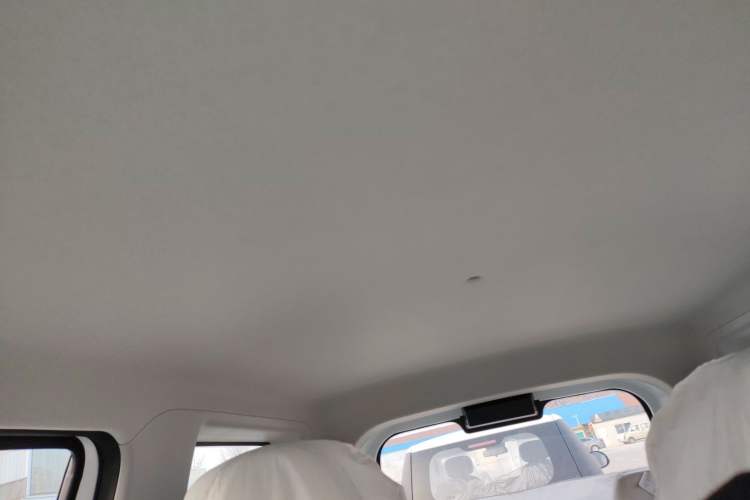 Used  Panda 2025 210 km – Yuanqi Bear
