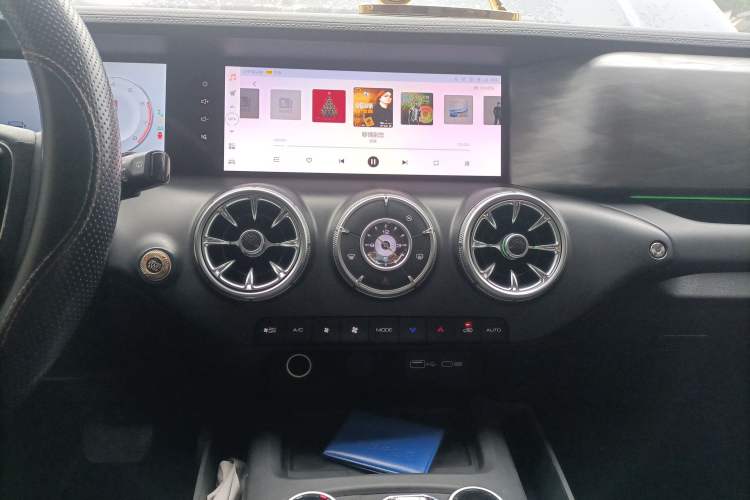 Used Tank 300 2024 2.0T Crosser
