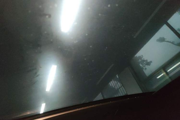 Used  #1 2022 Pulse Heartbeat Edition
