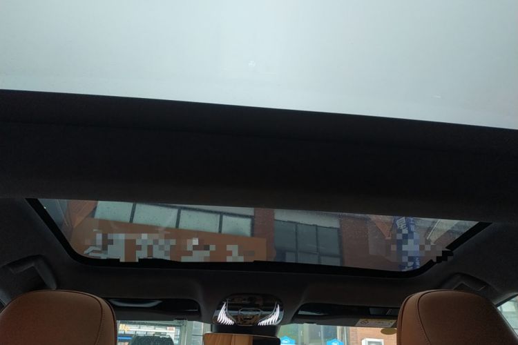 Used VOYAH PASSION 2023 Four-Wheel Drive Long-Range Version