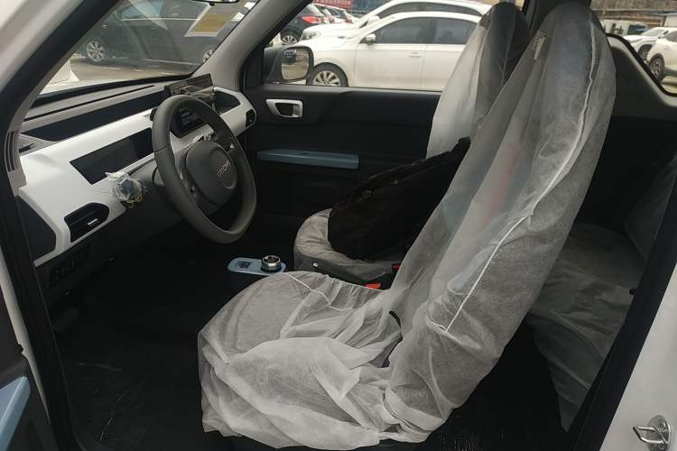 Used  Panda 2024 Panda Mini 200km Endurance Bear