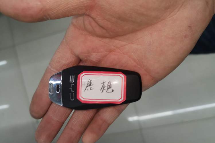 Used BYD Tang New Energy 2024 DM-i Glory Edition 112KM Prestige Model
