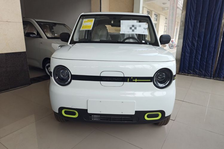 Used  Panda 2025 210 km – Yuanqi Bear