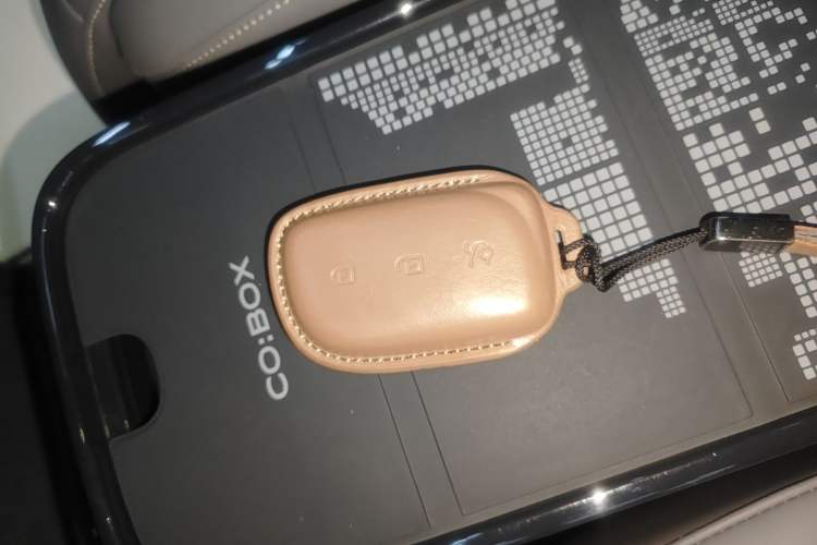 Used Lynk & Co Z20 2025 530 km Range Rear-Wheel Drive Max