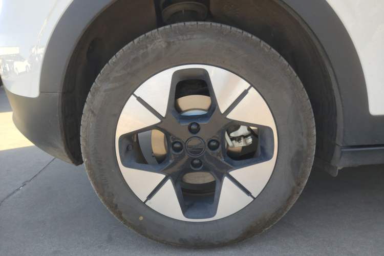 Used  Geome 2025 310km Dream Edition
