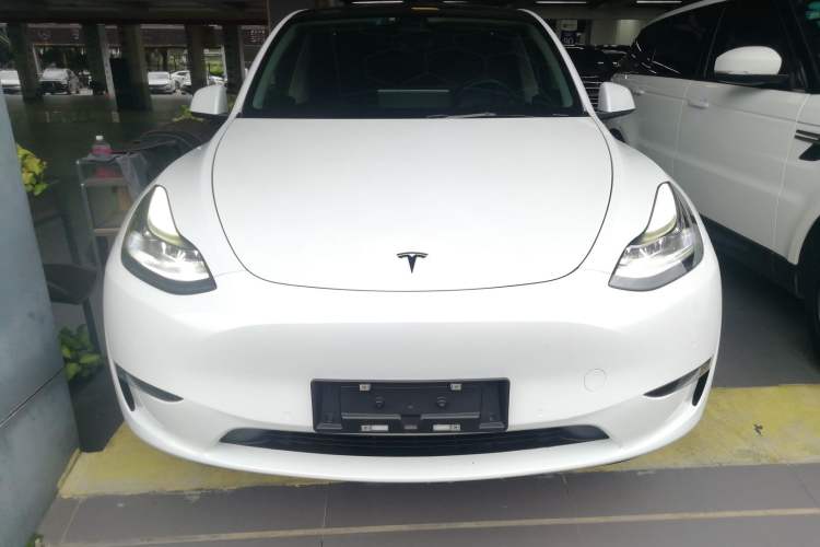 Used Tesla Model Y 2021 Standard Range Rear-Wheel Drive Version
