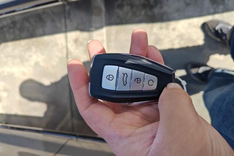 Used Geely Auto Haoyue L 2024 2.0T DCT Flagship Version