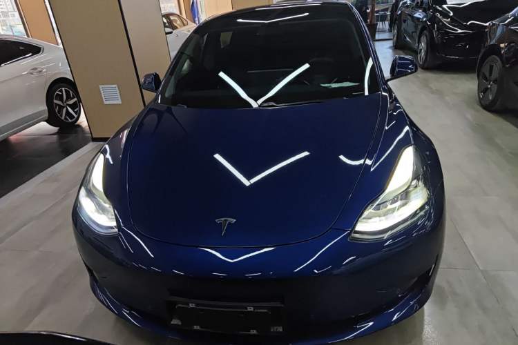 Used Tesla Model 3 2021 Standard Range Rear-Wheel Drive Upgraded Version 3D6
