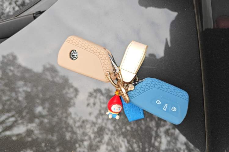 Used Volkswagen Lamando 2022 Lingdu L 280TSI DSG Spicy Edition
