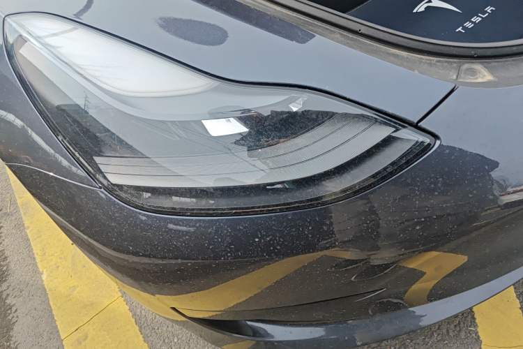 Used Tesla Model 3 2021 Revised Version Standard Range Rear-Wheel Drive Upgraded Edition 3D1