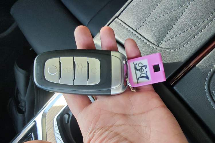 Used Hongqi E-HS9 2021 460 km Range Flagship Edition Six-Seater
