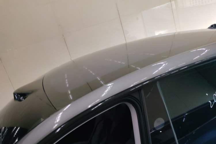 Used  LS6 2023 Max Standard Edition
