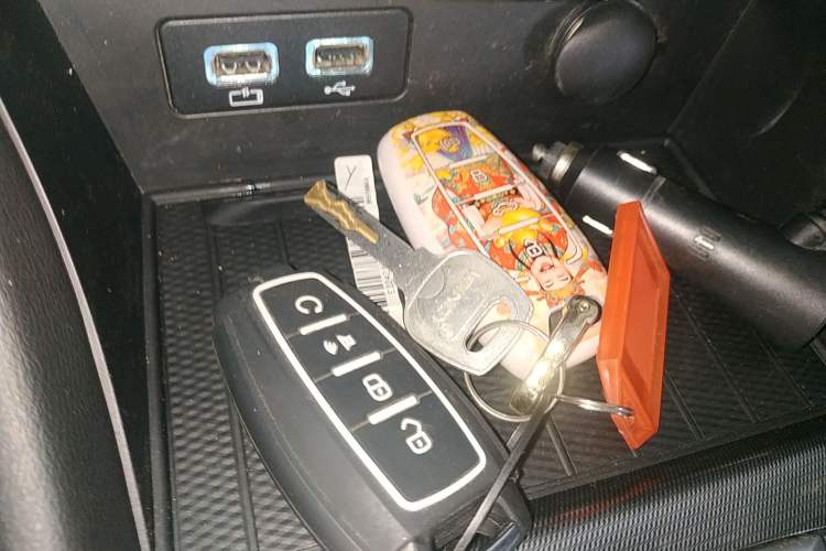 Used Great Wall Poer 2021 2.0T Global Version Passenger Automatic Diesel Two-Wheel Drive Comfort Trim Standard Cab GW4D20M
