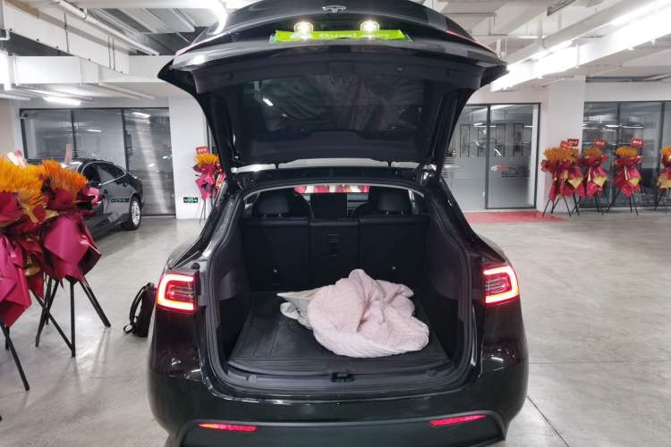 Used Tesla Model Y 2021 Standard Range Rear-Wheel Drive Version