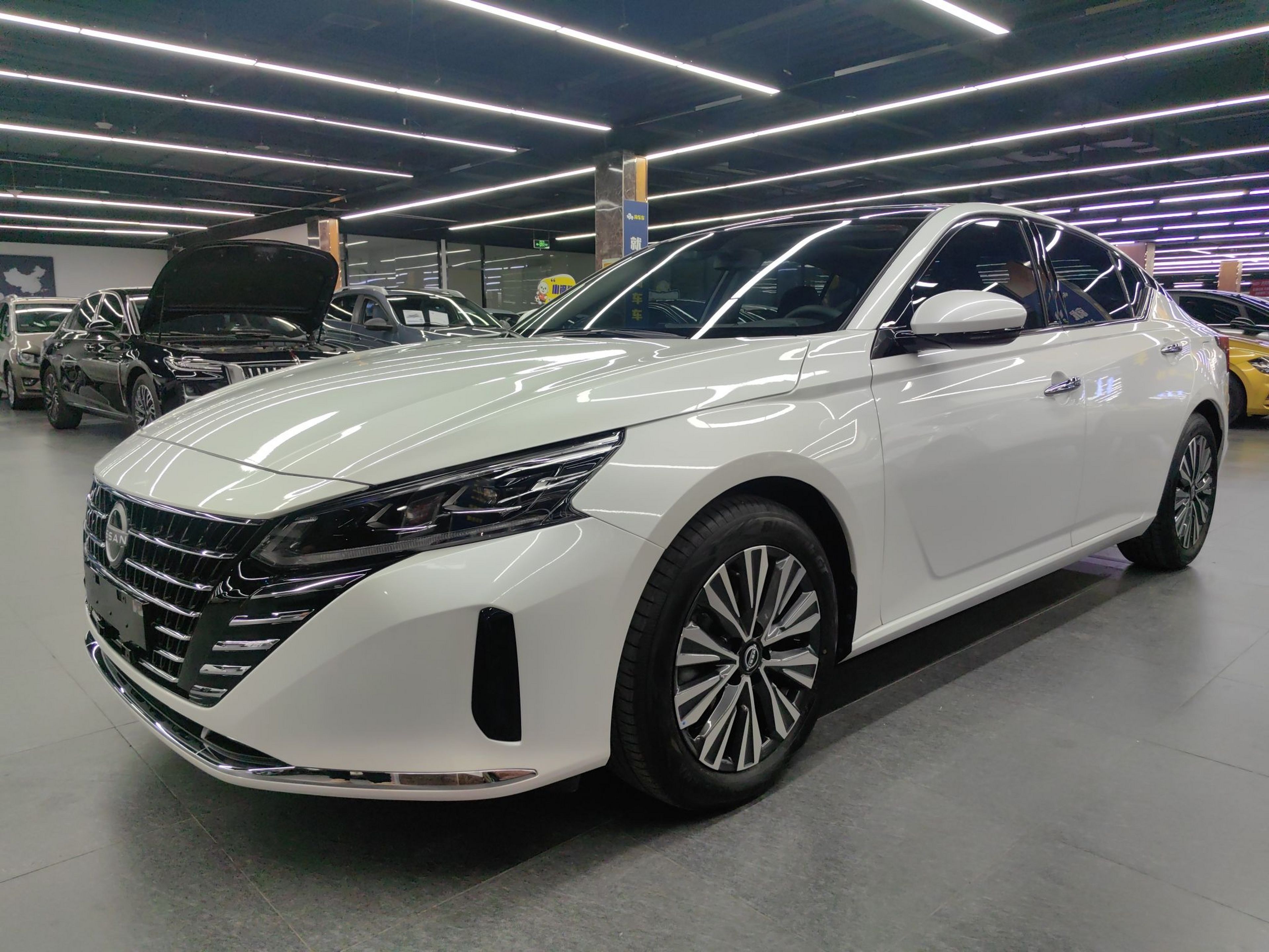 تحت مقدمة السيارة