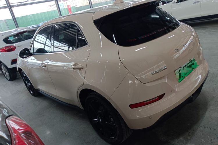 Used ORA Good Cat 2024 401 km Luxury Version