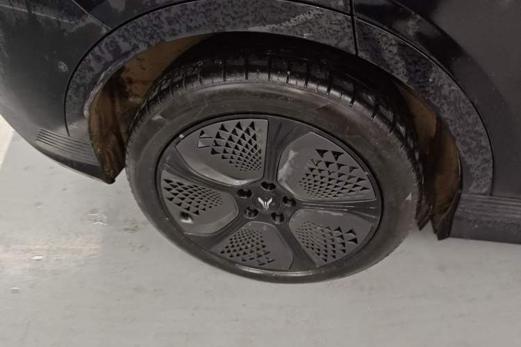 Used VOYAH COURAGE 2024 Four-Wheel Drive Global Edition
