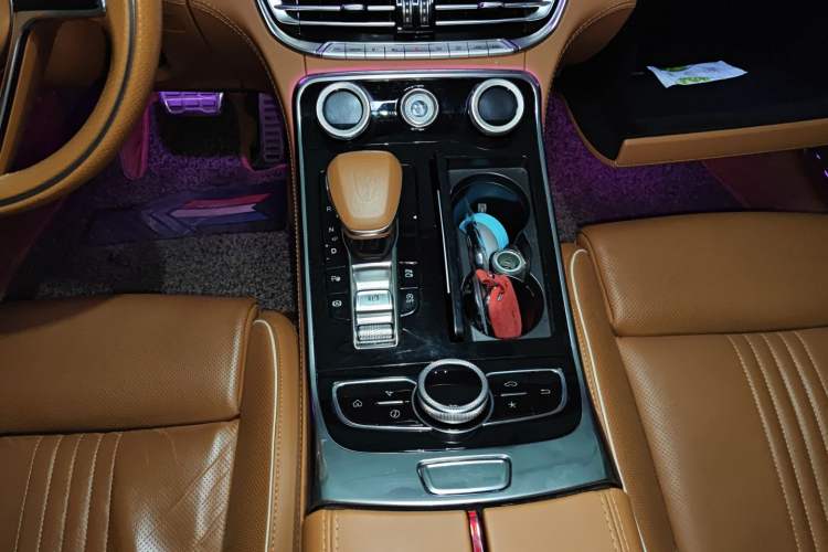 Used Hongqi H9 2020 2.0T Smart Connect Flagship Edition