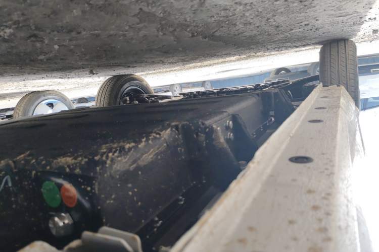 Used  Panda 2024 Panda Mini 200km Endurance Bear
