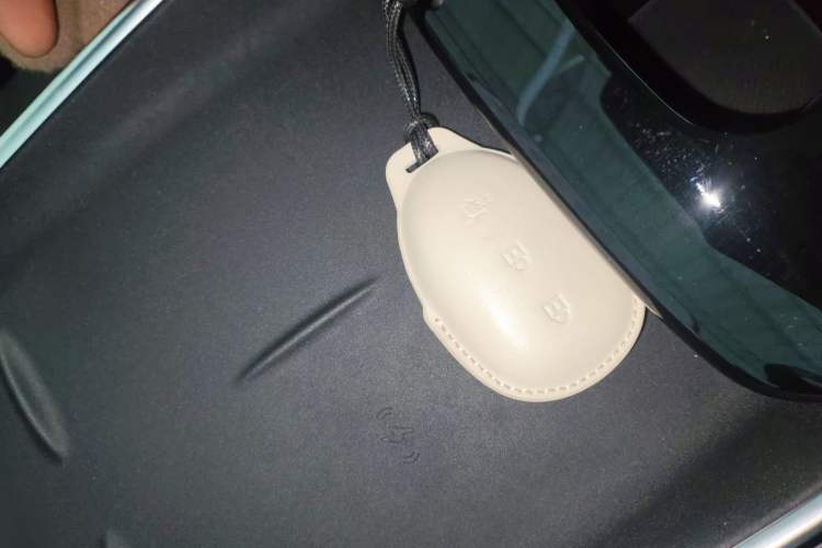 Used  A07 2025 All-Electric "True Fragrance" Edition 710-Mile Long-Range Version