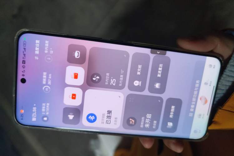 Used  LS6 2025 Long-Range Lingxi Intelligent Driving Edition
