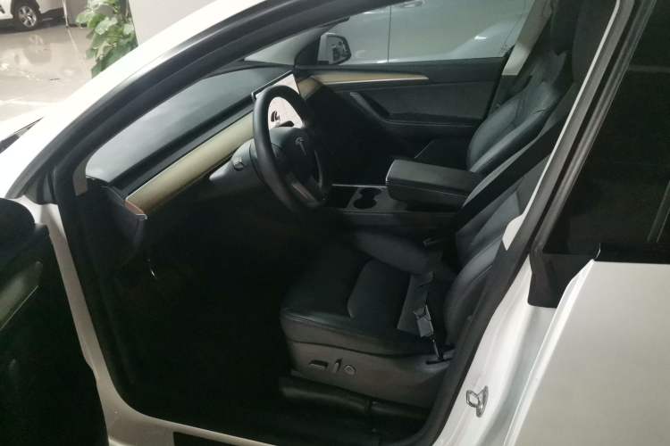 Used Tesla Model Y 2021 Standard Range Rear-Wheel Drive Version
